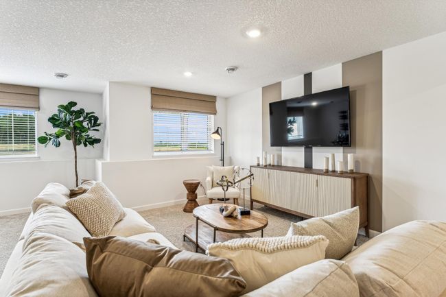 Photo is of the actual model. The perfect spot to hang out with friends and family! | Image 15