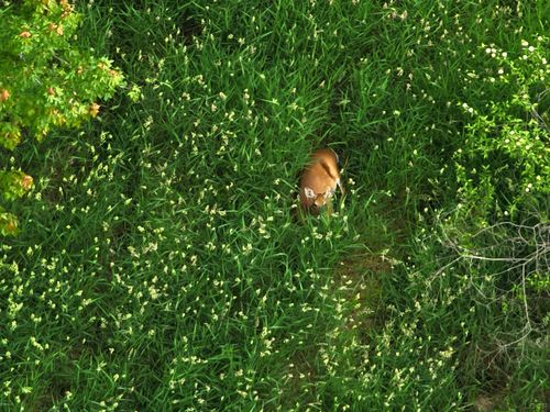 5000 Treat Hwy Blk Highway, Madison Charter Township, MI, 49221 | Card Image