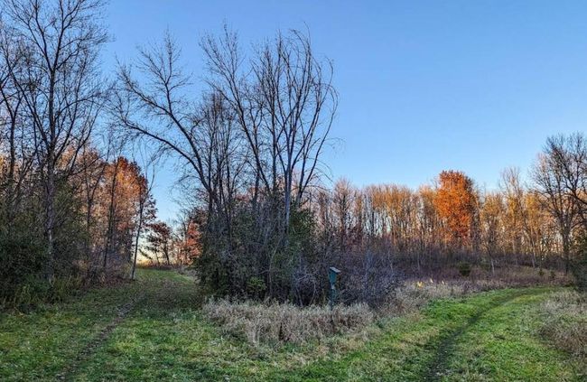 Clearwater Creek Preserve | Image 29