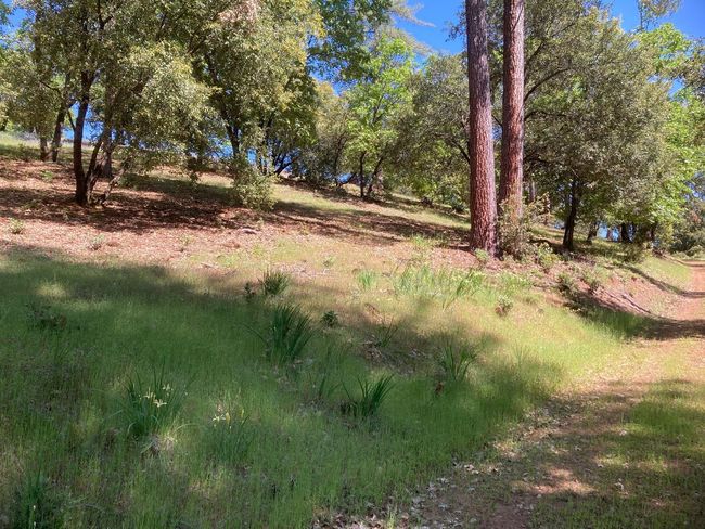 16688 Sonshine Ln, Home with 0 bedrooms, 0 bathrooms and null parking in Sutter Creek CA | Image 27