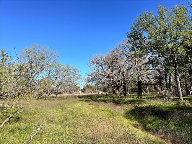 Lot 13 Cr 127, Home with 0 bedrooms, 0 bathrooms and null parking in Carlton TX | Image 27