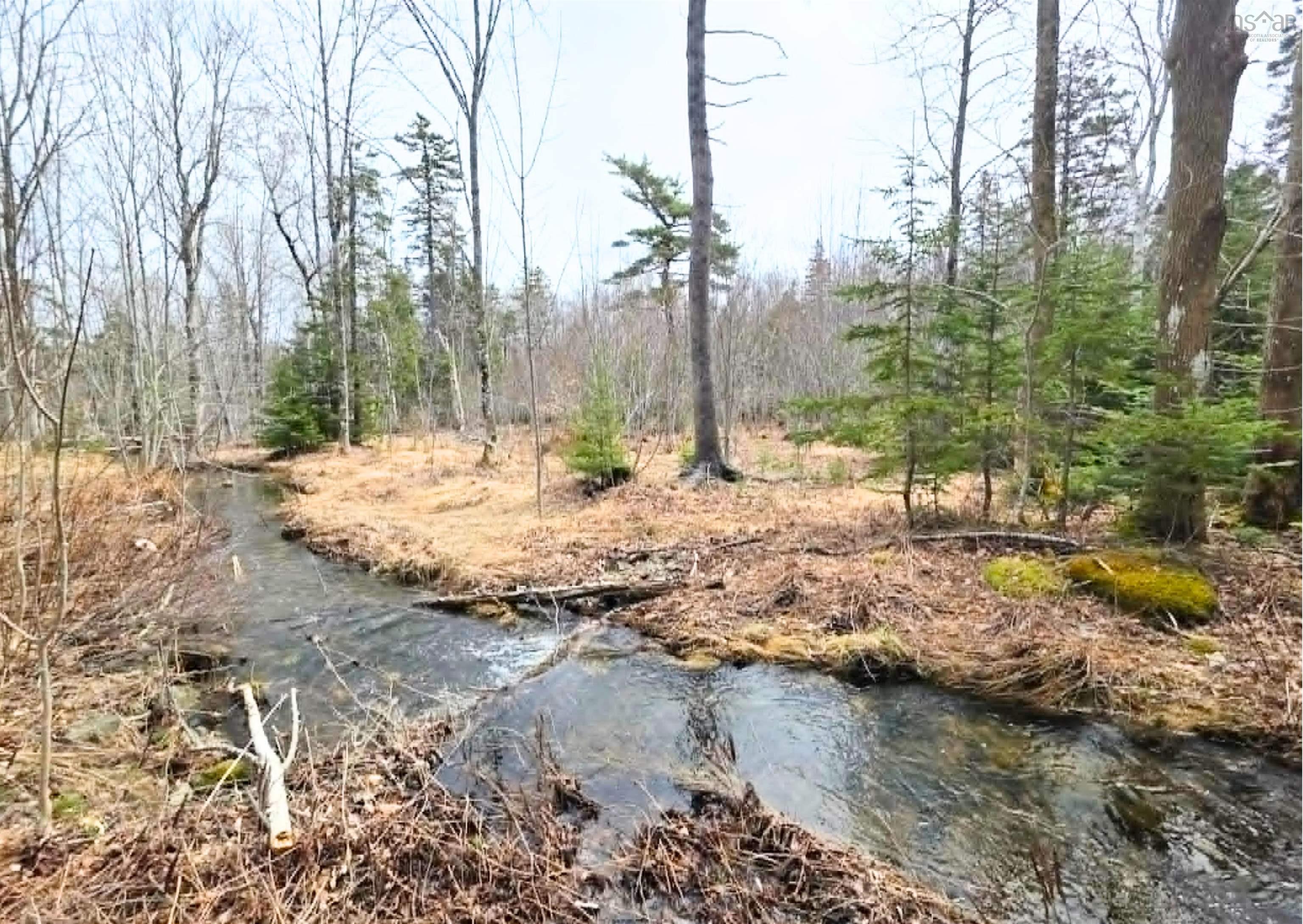 Land in Cape Breton 2