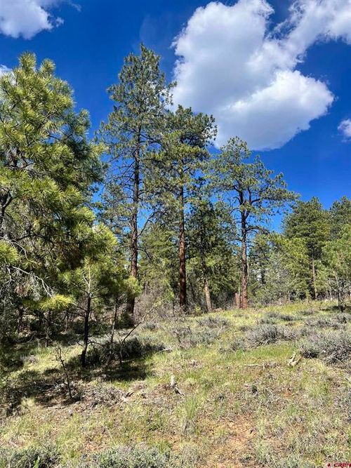 167 Justins Rd, Pagosa Springs, CO, 81147-5959 | Card Image