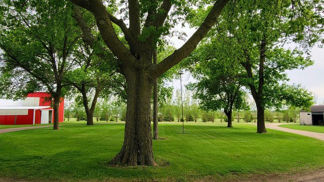 20250523_160717.jpg | Image 26