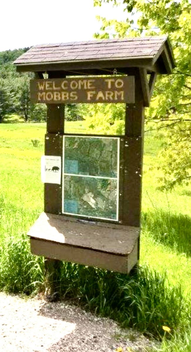 50 Fitzsimonds Rd, House other with 3 bedrooms, 3 bathrooms and null parking in Jericho VT | Image 17