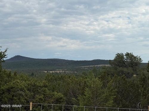TBD Cr 3076-C, Vernon, AZ, 85940 | Card Image