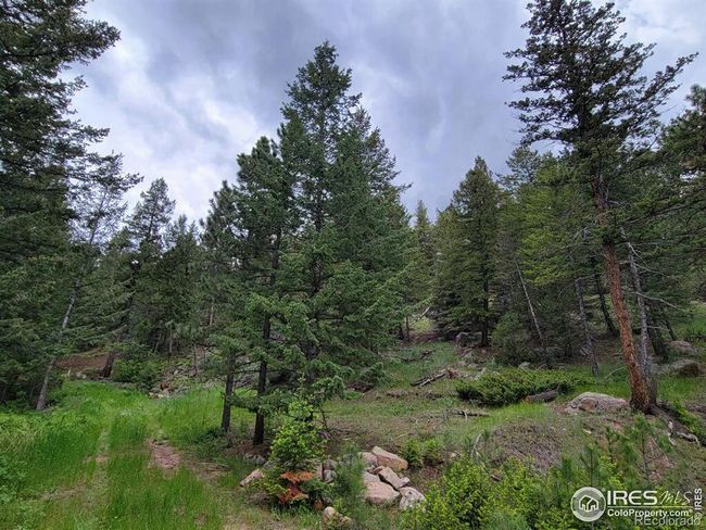 1 Mountain Lion Track Court, Home with 0 bedrooms, 0 bathrooms and null parking in Livermore CO | Image 4