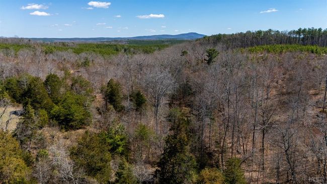 0 Norwood Rd, Home with 0 bedrooms, 0 bathrooms and null parking in GLADSTONE VA | Image 24