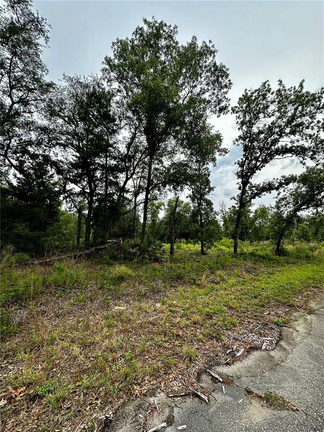 Lot 2 Guava Pl, Home with 0 bedrooms, 0 bathrooms and null parking in Ocklawaha FL | Image 7