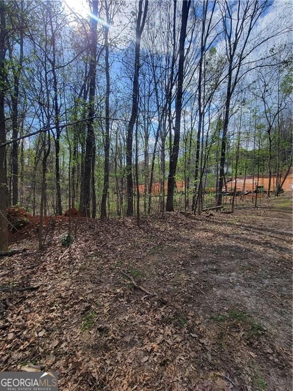 Land in Gainesville 4