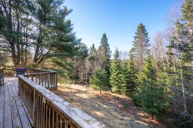 37 Mayhew Rd, House other with 3 bedrooms, 1 bathrooms and 6 parking in Carl ON | Image 12