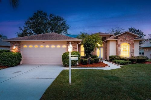 1251 Rambling Vine Ct, TRINITY, FL, 34655-7021 | Card Image