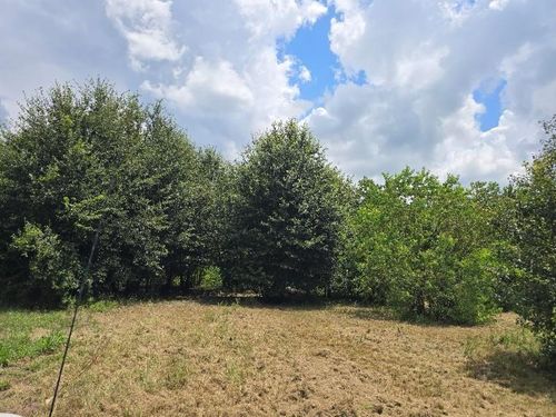 20736 Pearl St, Prairie View, TX, 77484-8599 | Card Image