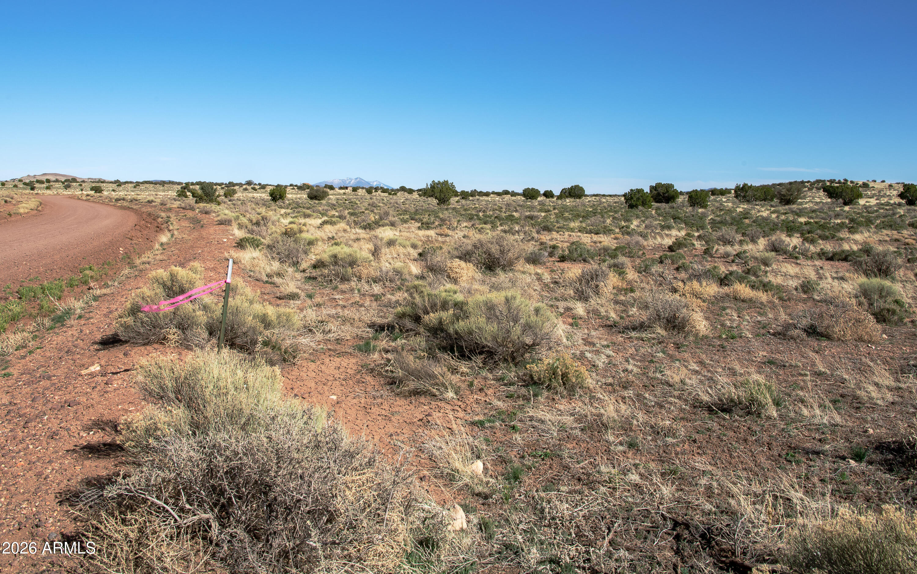 Land in Seligman 4
