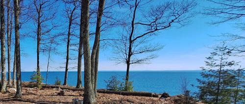 1117 S Shore Rd, LA POINTE, WI, 54850-4517 | Card Image