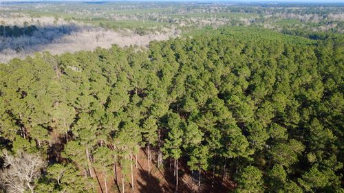 1497 County Road 1170, Kennard, TX, 75847 | Card Image