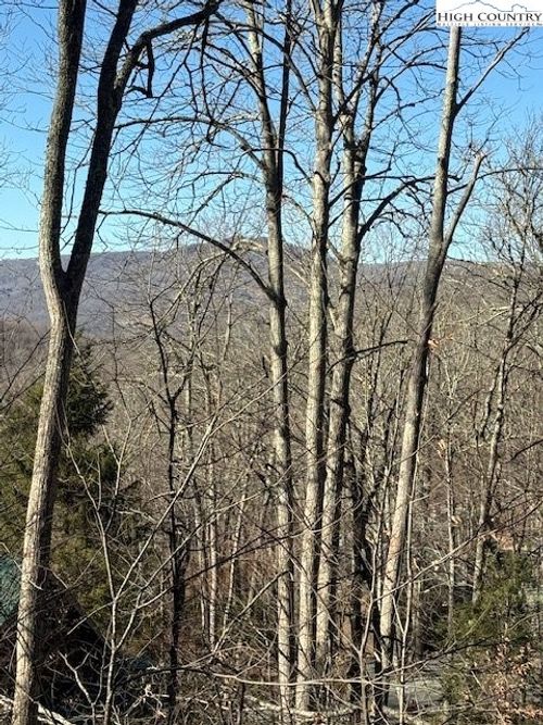Lot 42 Cross Park Dr, Sugar Mountain, NC, 28604 | Card Image