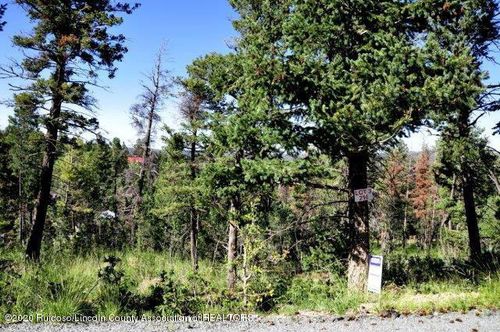 216 Cummings Dr, Ruidoso, NM, 88345-9105 | Card Image