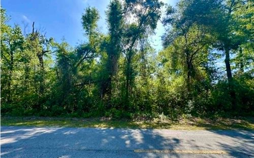 1610 Sw Newark Dr, Fort White, FL, 32038-1713 | Card Image