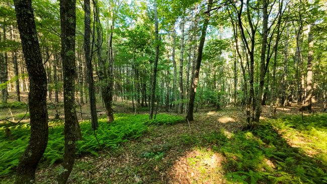 Parcel 2-33 | Image 6