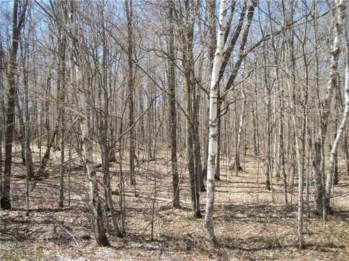26 Loch Lomond Boulevard, Birchwood, WI, 54817 | Card Image