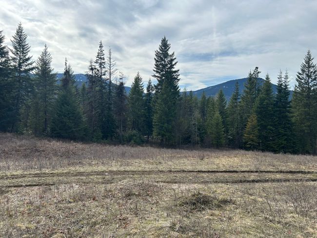 5 Red Fir Ln, Home with 0 bedrooms, 0 bathrooms and null parking in Noxon MT | Image 9