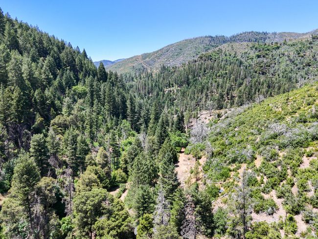 0000 E Fork Rd, Home with 0 bedrooms, 0 bathrooms and null parking in French Gulch CA | Image 54