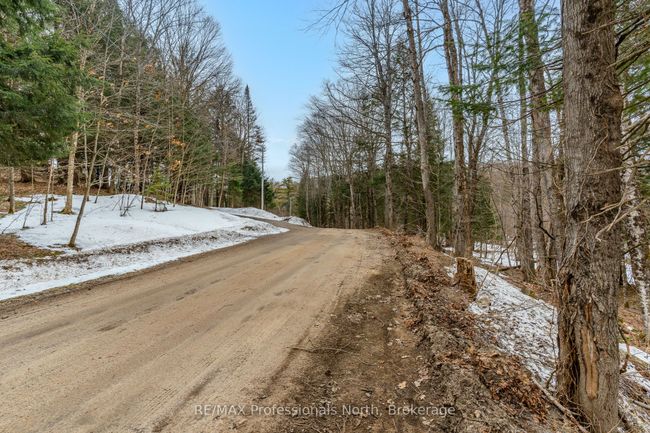 0 Ransley Rd, Home with 0 bedrooms, 0 bathrooms and null parking in Minden ON | Image 33