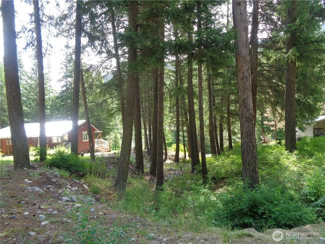 270 N Fork Rd, House other with 1 bedrooms, 1 bathrooms and 2 parking in Conconully WA | Image 15