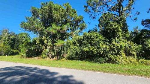 TBD Palm Way And Gardenia Ave, Georgetown, FL, 32139 | Card Image