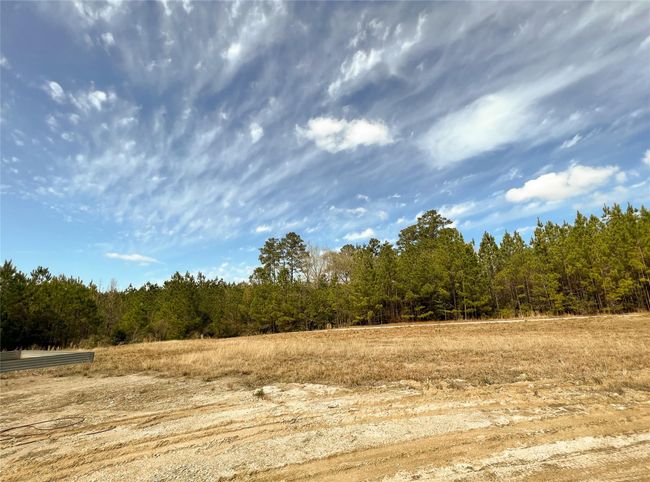 7 Fm 1746, Home with 0 bedrooms, 0 bathrooms and null parking in Spurger TX | Image 8