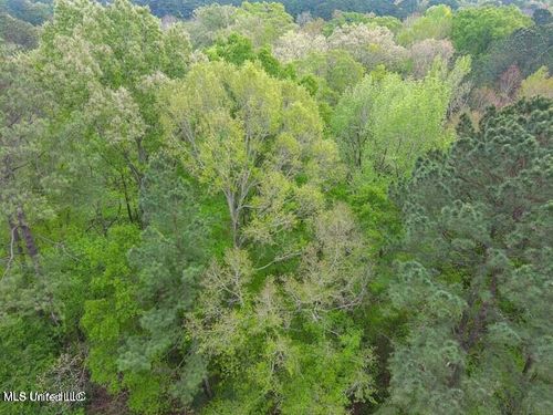 00 Little Creek Rd, Flowood, MS, 39232 | Card Image