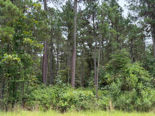 CR 1202 Old Town Road, Marshall, TX, 75672 | Card Image