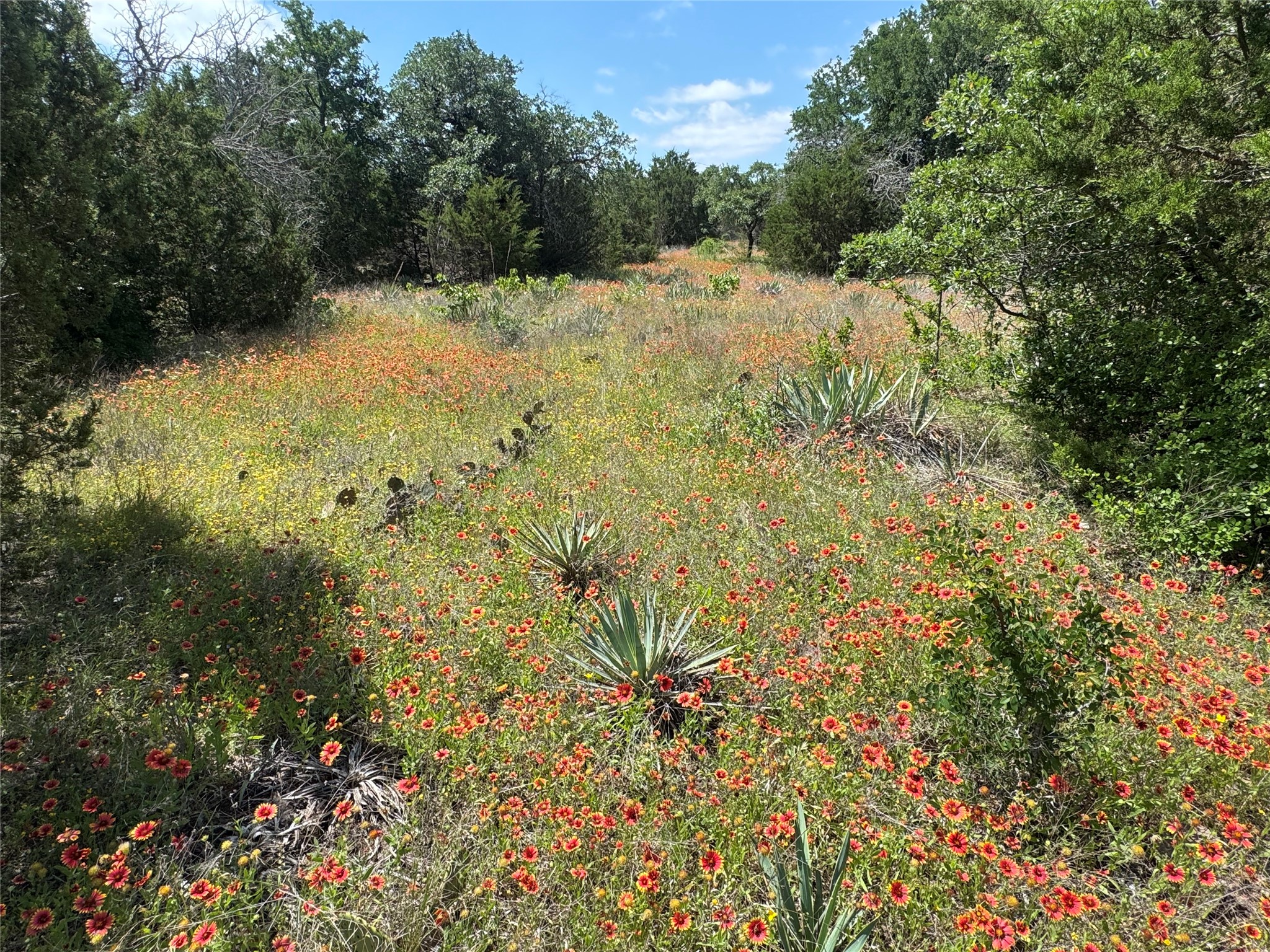 Land in Weatherford 3