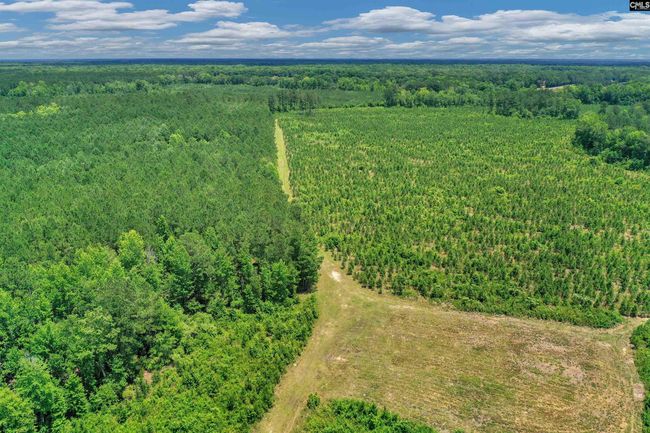 0000 N Brewington Rd, Home with 0 bedrooms, 0 bathrooms and null parking in Manning SC | Image 31