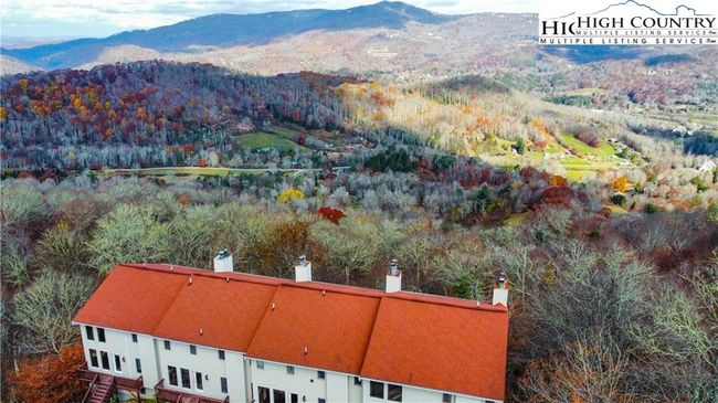 Beautiful Leaf Season | Image 31