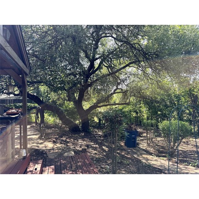 View of backyard | Image 6