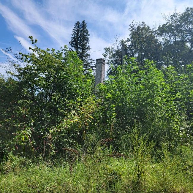 38 E Cypress St, Home with 0 bedrooms, 0 bathrooms and null parking in Brinkley AR | Image 10