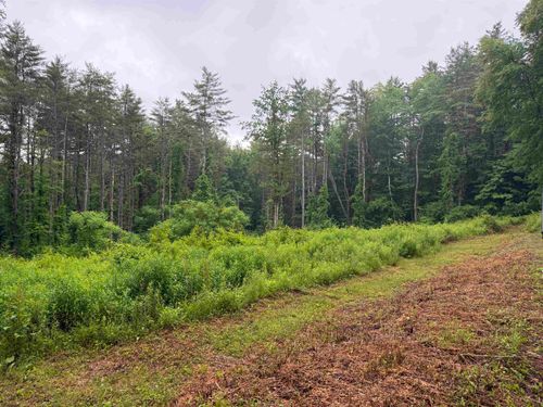 63 West Hl, Putney, VT, 05346 | Card Image