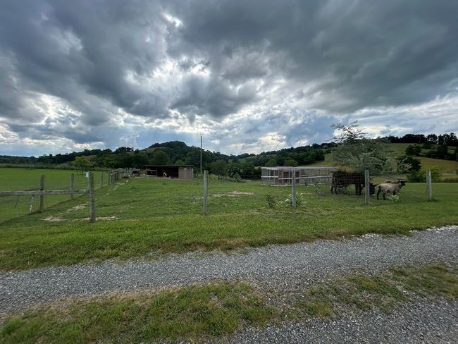 3950 Boyd Rd, House other with 2 bedrooms, 2 bathrooms and null parking in Draper VA | Image 47
