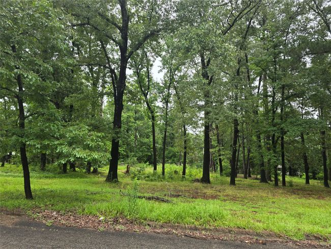208 Mountain View Dr, Home with 0 bedrooms, 0 bathrooms and null parking in Daingerfield TX | Image 4