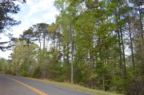 49 Club Ln, Winnsboro, SC, 29180-9775 | Card Image