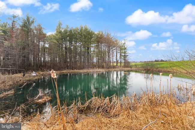 38956 Rickard Rd, House other with 3 bedrooms, 3 bathrooms and null parking in LOVETTSVILLE VA | Image 7