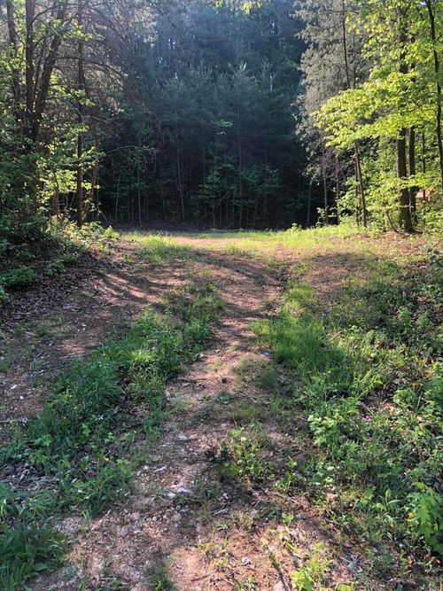 0 Chamberlain Rd, La Fayette, GA, 30728 | Card Image