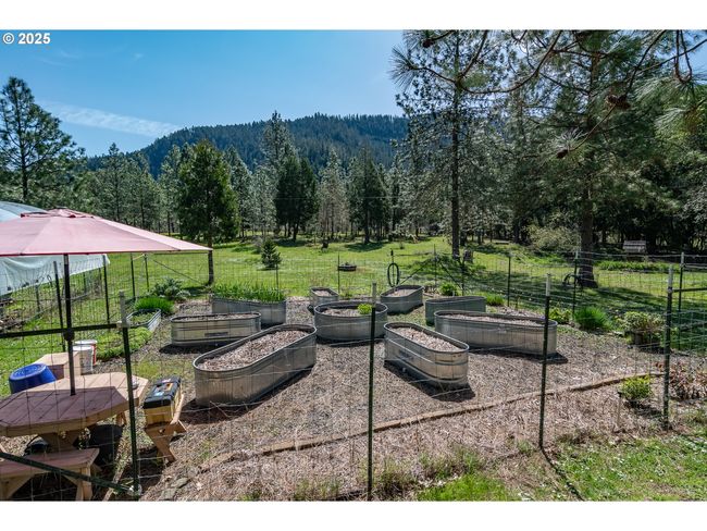 Garden | Image 32