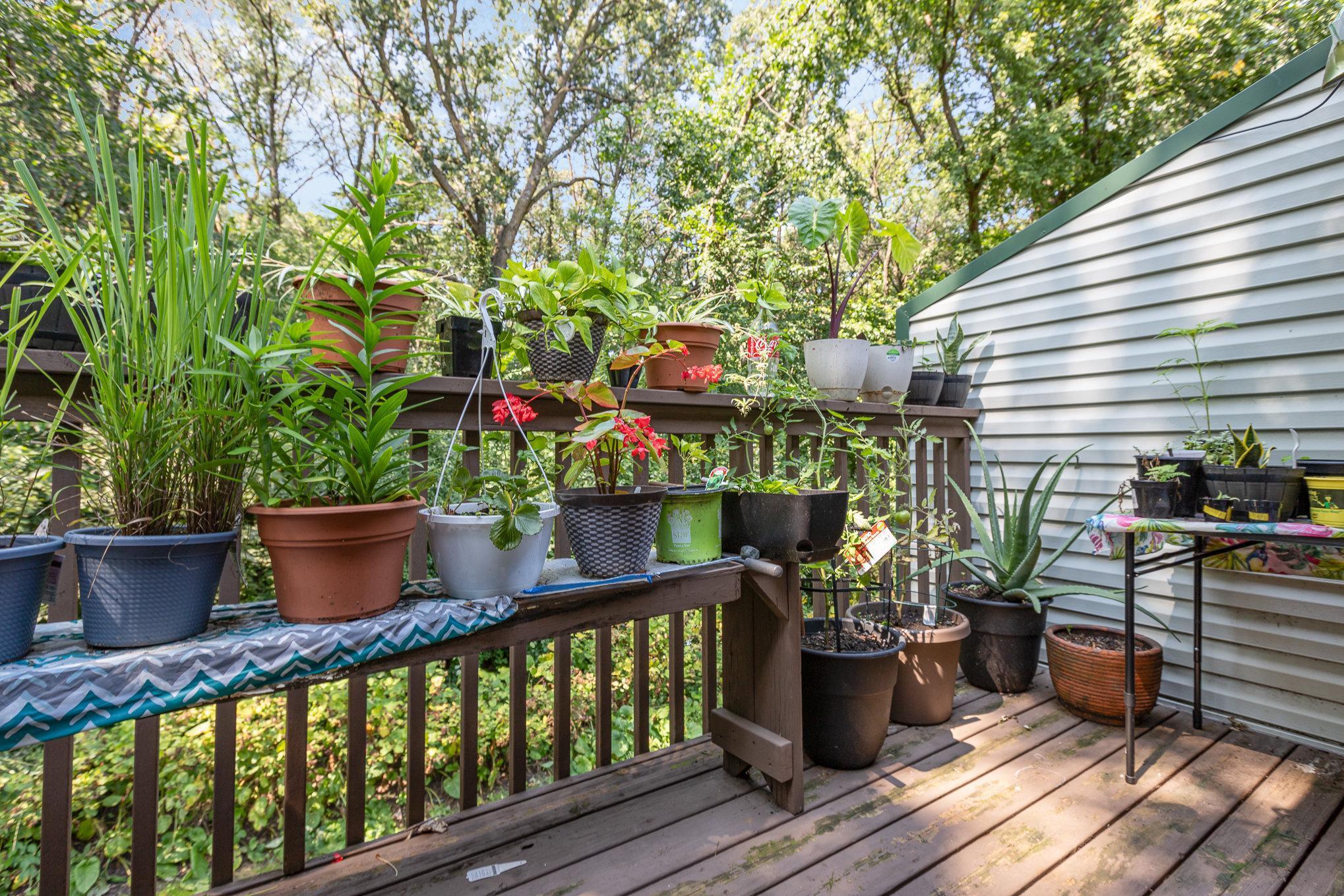 Everton Ave, Saint Paul, MN 55124