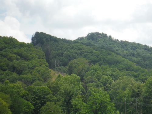 401-401 Tinsley Eversole Rd, Salt Lick, KY, 40371-8944 | Card Image