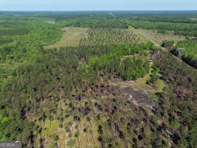 6053 Sun Hill Grange Rd, Home with 0 bedrooms, 0 bathrooms and null parking in Davisboro GA | Image 134