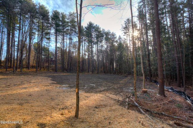 13 Rattlesnake Mtn Rd, Home with 0 bedrooms, 0 bathrooms and null parking in Stockbridge MA | Image 12