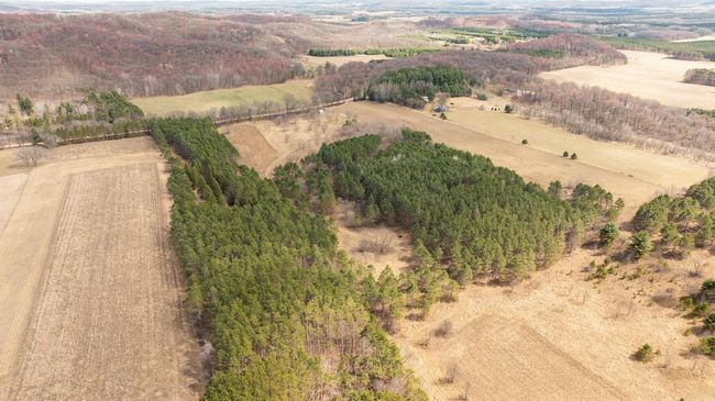 DJI_0325.jpg | Image 11